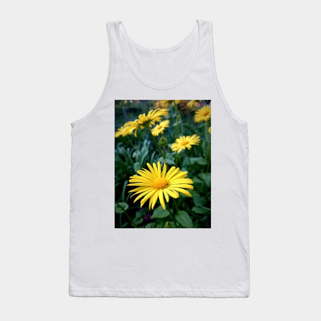 Caucasian vegetable root Tank Top by Gourmetkater